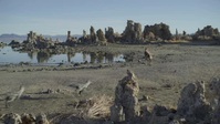 Prehistoric Planet 2022 S02E05 XviD-AFG EZTV