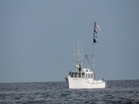 Wicked Tuna S12E10 480p x264-mSD EZTV