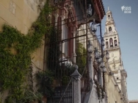 The Ascent Of Civilization S02E03 480p x264-mSD EZTV