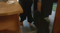 Barkley Manor S02E08 XviD-AFG EZTV Barkley Manor S02E08 XviD-AFG EZTV