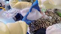 Paramedics S03E05 XviD-AFG EZTV Paramedics S03E05 XviD-AFG EZTV