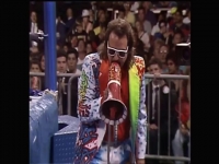 WWE SummerSlam 1991 480p x264-mSD EZTV WWE SummerSlam 1991 480p x264-mSD EZTV