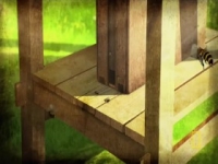 Cosmos Possible Worlds S01E07 480p x264-mSD [eztv]