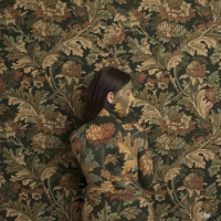Honeyblood - In Plain Sight (2019) [24bit Hi-Res]
