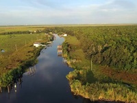 Swamp People S14E01 480p x264-mSD EZTV Swamp People S14E01 480p x264-mSD EZTV