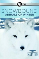 Snowbound 2017 DVDRip x264-SPOOKS[TGx]