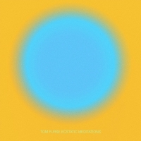 [ambient] (2021) Tom Furse - Ecstatic Meditations [FLAC] [DarkAngie]