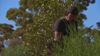 Aussie Gold Hunters S06E09 720p HEVC x265-MeGusta EZTV