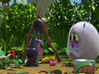 Larva Family S01E07 480p x264-mSD EZTV Larva Family S01E07 480p x264-mSD EZTV