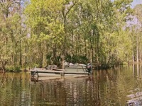 Swamp People S13E12 480p x264-mSD EZTV