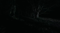 Nature S42E14 720p x265-T0PAZ EZTV