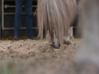 This Week On The Farm S03E04 480p x264-mSD EZTV