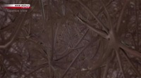 Science View S04E08 HDTV x264-PHOENiX EZTV