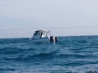 Dive Wars Australia S04E03 480p x264-mSD [eztv]