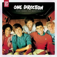 One Direction - What Makes You Beautiful [CDQ][SINGLE][256 kbps][GLODLS]