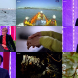 The One Show 2019 01 08 WEB h264-WEBTUBE