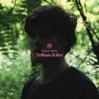 [dream-pop] (2019) Foxes in Fiction - Trillium Killer [FLAC] [DarkAngie]