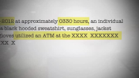 Wild Crime S04E01 XviD-AFG EZTV