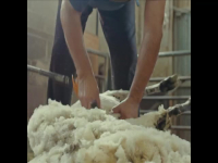 POV S37E05 Fauna 480p x264-mSD EZTV POV S37E05 Fauna 480p x264-mSD EZTV