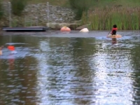 The Bachelor S25E04 480p x264-mSD EZTV The Bachelor S25E04 480p x264-mSD EZTV