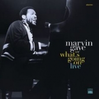 Marvin Gaye - What's Going On Live Remastered (2019) (320) [DJ]