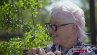 Making It Australia S01E06 XviD-AFG EZTV Making It Australia S01E06 XviD-AFG EZTV