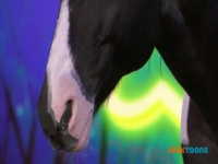 Unleashed S01E05 Horsing Around 480p x264-mSD EZTV Unleashed S01E05 Horsing Around 480p x264-mSD EZTV