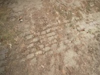 This Old House S44E18 480p x264-mSD EZTV This Old House S44E18 480p x264-mSD EZTV