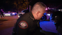 Cops S36E18 720p HEVC x265-MeGusta EZTV Cops S36E18 720p HEVC x265-MeGusta EZTV