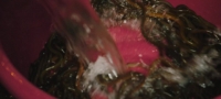 Four Hands Menu S01E02 720p WEBRip X264-AVRATTNING [eztv]