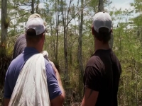Swamp People Serpent Invasion S02E05 480p x264-mSD EZTV