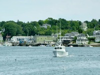 Wicked Tuna S10E18 480p x264-mSD EZTV Wicked Tuna S10E18 480p x264-mSD EZTV
