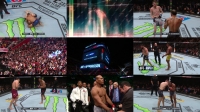 UFC Fight Night 150 720p HDTV x264-VERUM