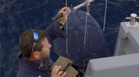 Shark Attack Files S01 WEBRip x264-ION10 EZTV