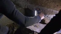 Expedition X S08E07 XviD-AFG EZTV Expedition X S08E07 XviD-AFG EZTV