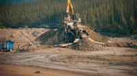Gold Rush S14E18 XviD-AFG EZTV Gold Rush S14E18 XviD-AFG EZTV