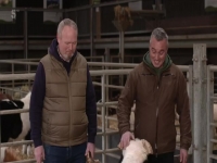 This Week On The Farm S03E01 480p x264-mSD EZTV
