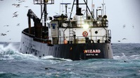 Deadliest Catch S19E03 XviD-AFG EZTV Deadliest Catch S19E03 XviD-AFG EZTV