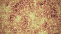 NOVA S48E14 Particles Unknown XviD-AFG EZTV