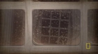 Cosmos Possible Worlds S01E03 HDTV x264-aAF [eztv]