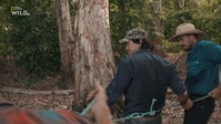 Monster Croc Wrangler Compilations S04E02 XviD-AFG EZTV