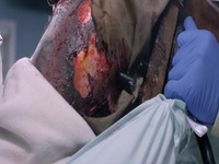 Greys Anatomy S19E06 480p x264-mSD EZTV Greys Anatomy S19E06 480p x264-mSD EZTV
