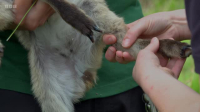 Inside the Zoo S01E05 XviD-AFG EZTV
