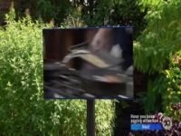MasterChef Australia S12E31 480p x264-mSD [eztv]