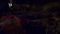 Fatal Attraction S10E10 Victim of Success XviD-AFG EZTV