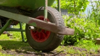 Gardening Australia S32E01 XviD-AFG EZTV