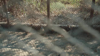 Hard Truths of Conservation S02E04 XviD-AFG EZTV Hard Truths of Conservation S02E04 XviD-AFG EZTV