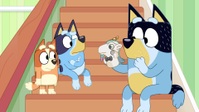 Bluey S03E29 1080p HEVC x265-MeGusta EZTV