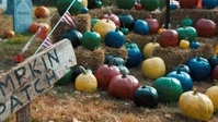 Outrageous Pumpkins S03E03 XviD-AFG EZTV Outrageous Pumpkins S03E03 XviD-AFG EZTV