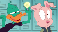 Tiny Toons Looniversity S01E08 XviD-AFG EZTV